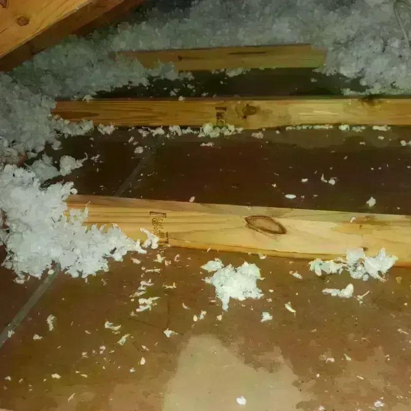 Attic Water Damage in Lyon County, MN